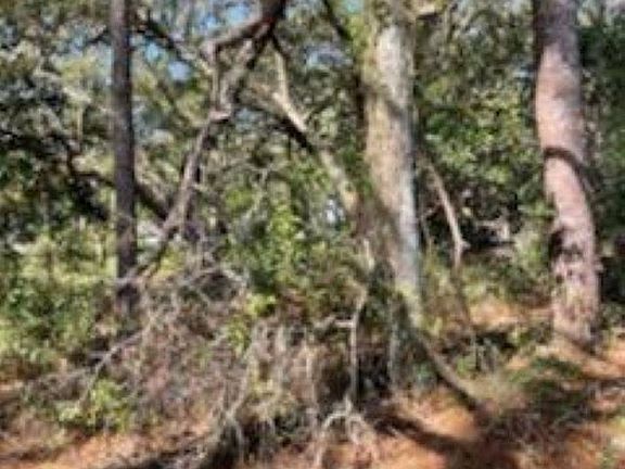 3rd image of Callaway Rd