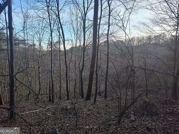 5th image of 1058 Mayfield Ln NE