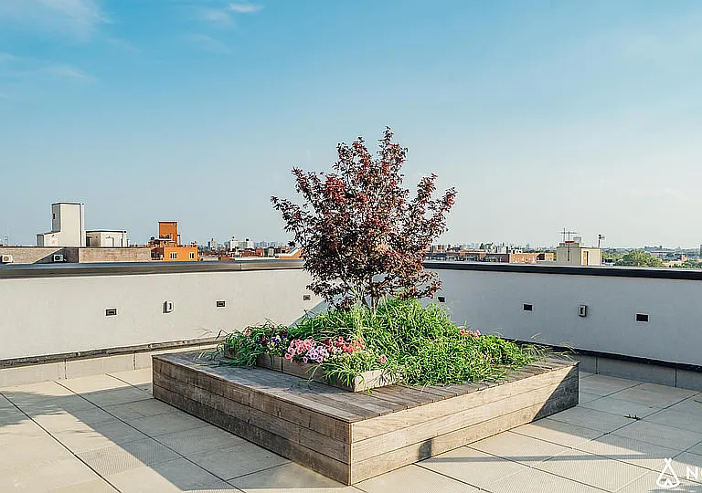 242 Newkirk Ave #6H — Photo 16