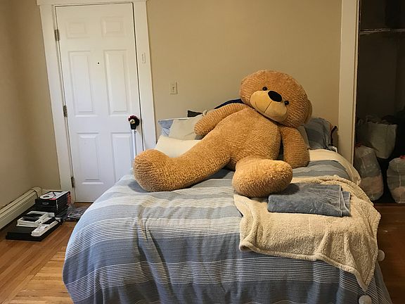 2nd big bedroom with large closet