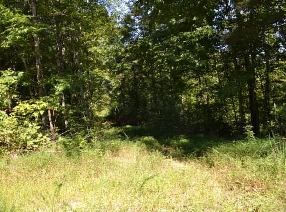 2nd image of 3AC Rock Springs Rd