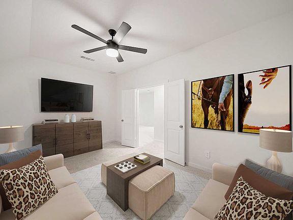 Entertainment Room
