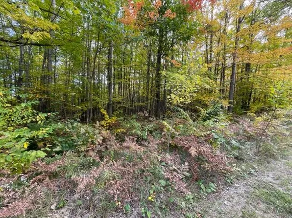 LOT 10 Fairway Dr, Roscommon, MI 48653