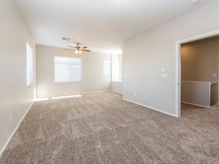 8257 Begonia Blush Dr — Photo 3