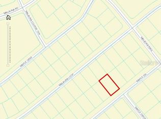 Maple Dr #5, Ocklawaha, FL 32179