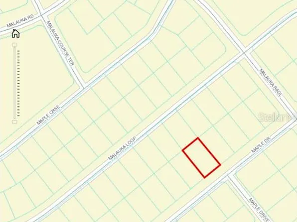 Maple Dr #5, Ocklawaha, FL 32179