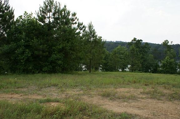 3rd image of 380 Co Rd 907 (lot #16)