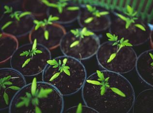 6352 Buoy Ln #11272482, Indianapolis, IN 46268