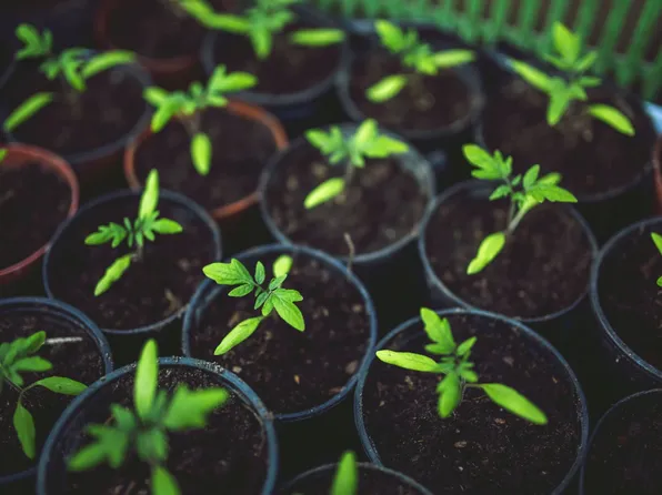 Wexford on Bishops Pond