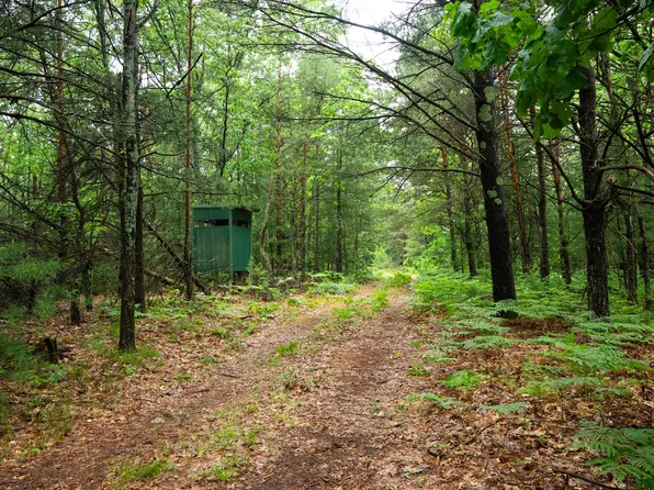 V/l 809a N Centerline Rd, White Cloud, MI 49349