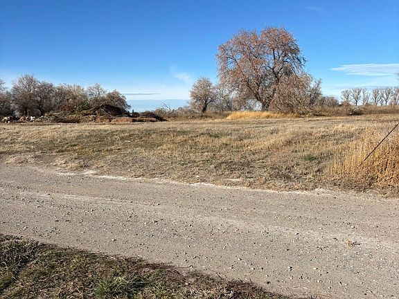 4th image of Tbd Tbd