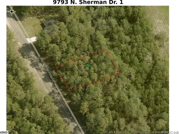 9793 N Sherman Dr, Citrus Springs, FL 34434