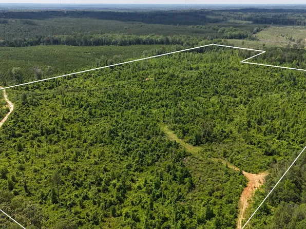 Springfield Rd, Morton, MS 39117