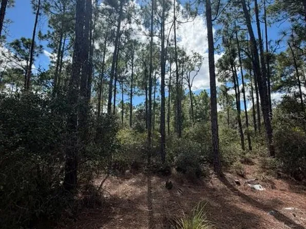 421 AMOROUS AVENUE LOT 5, LAKE PLACID, FL 33852