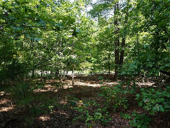 5th image of 0 Smacks Dr Lot 43A-1-11