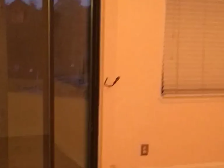 Door Leading to Balcony from Bedroom