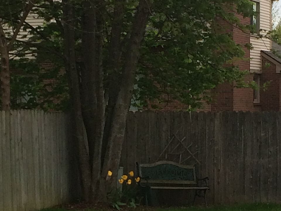 2nd image of 1164 Heritage Dr