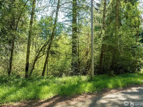 10515 Edgewood Drive, Anderson Island, WA 98303