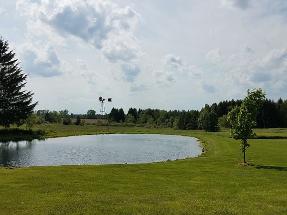 Pond