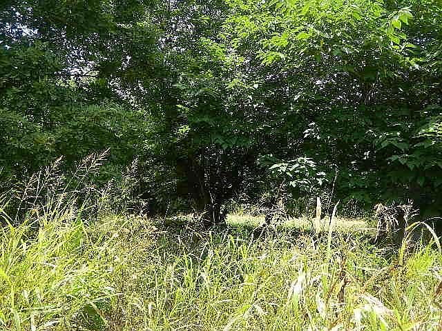 2nd image of 5100 Trails End Dr