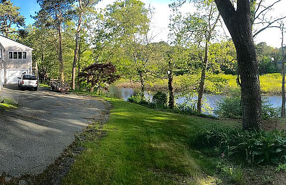 Our back yard