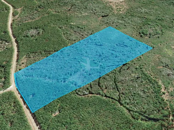 Circle Block Loop, Greenville, FL 32331