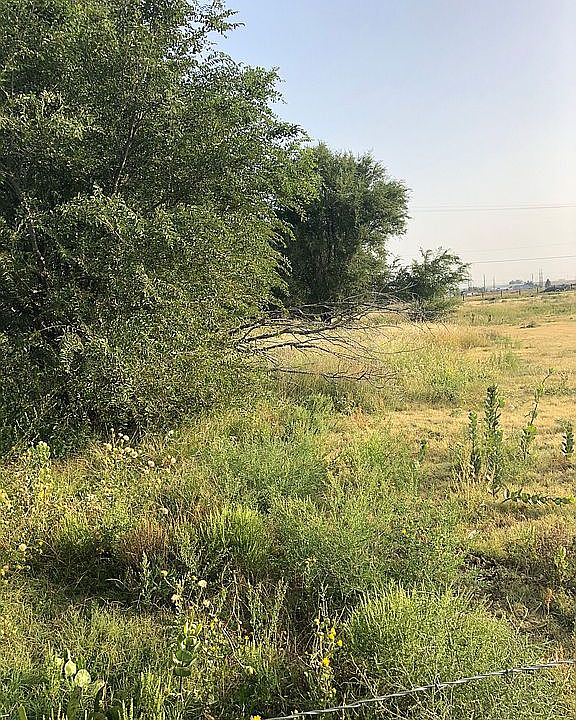CIty land 13+ acres