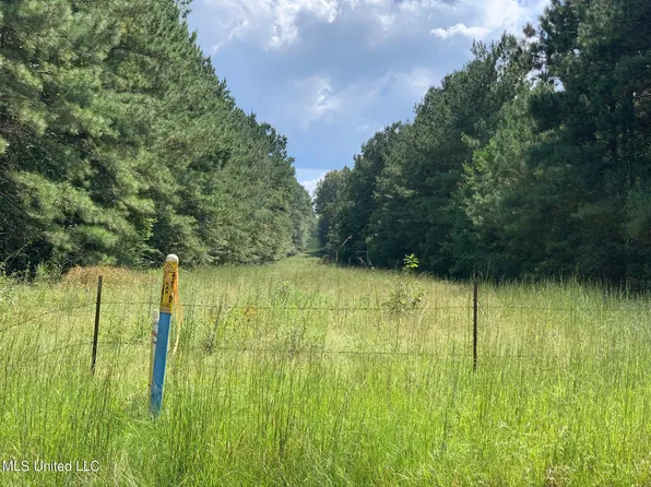 0 Highway 13 St, Mendenhall, MS 39114