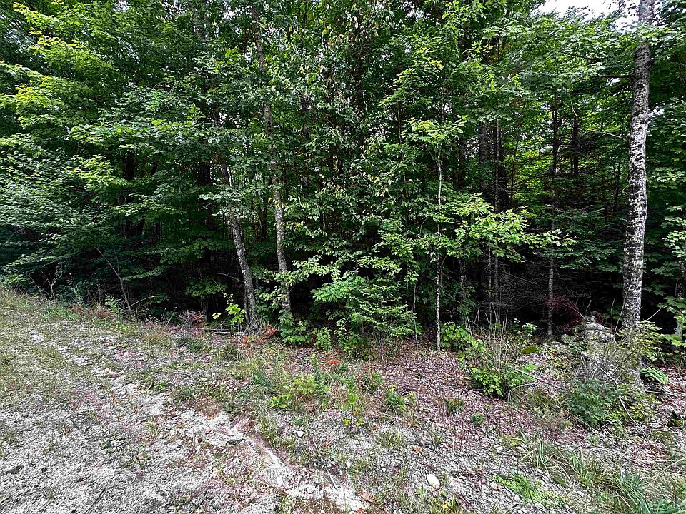 2nd image of 62 Patterson Road