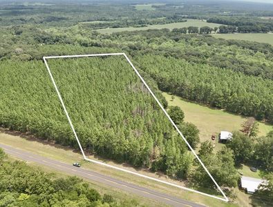 N County Road 79, Coffee Springs, AL, 36318