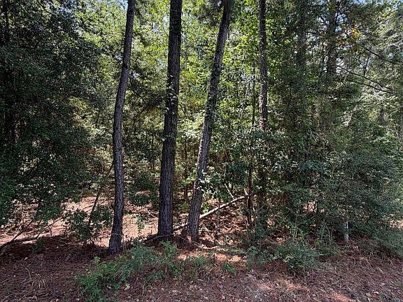 5th image of Sanders Rd