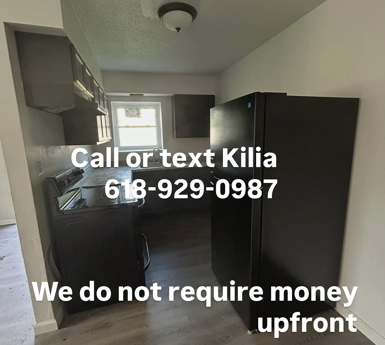 1 bed, $850 — Photo 2