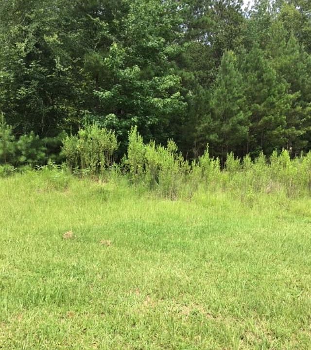 LOT 107 Earthwood Loop, Fortson, GA 31808 MLS 179847 Zillow
