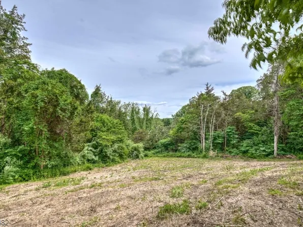 0 Willow Ave, Peapack Gladstone Boro, NJ 07977