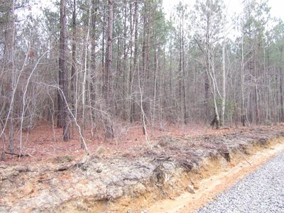 TRACT 5 State Highway 231, Spring Hope, NC, 27882