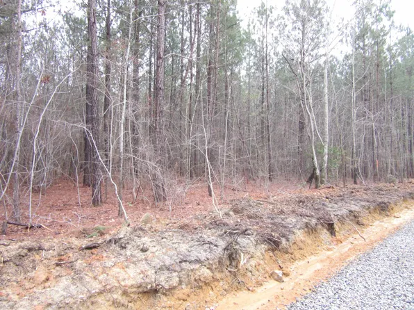 TRACT 5 State Highway 231 Lot 5, Spring Hope, NC 27882