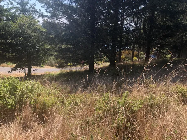 42 Vista Rd, Whitethorn, CA 95589