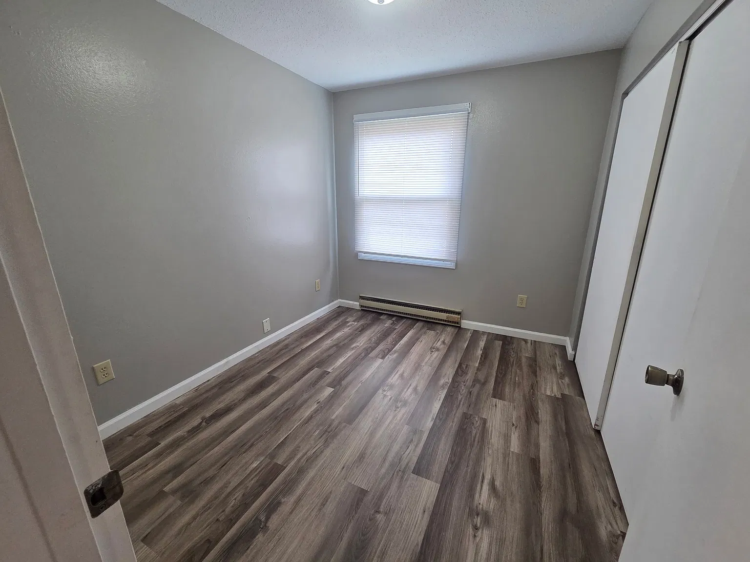 1 bed, 800 sqft, $875 — Photo 2