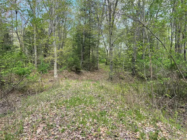 Na Oakridge Dr, Au Gres, MI 48703