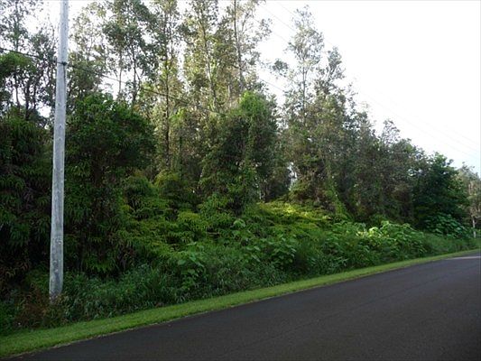 2nd image of Hinalo St Lot 24