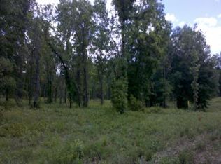 220TH Path, Obrien, FL 32071