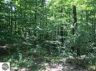 Troon North 73, Bellaire, MI 49615