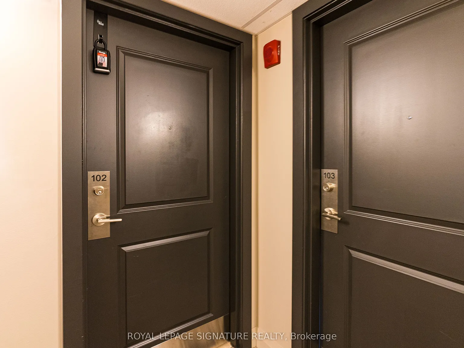 2 bed, $2,250 — Photo 4