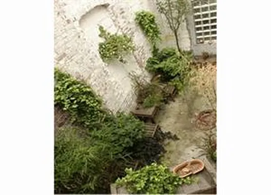 Sold by Douglas Elliman | media 43