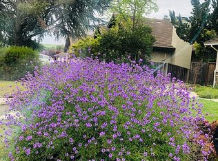 46533 Chaparral Dr, Fremont, CA 94539