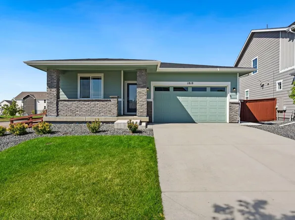 1810 Tree Grove Dr, Windsor, CO 80550