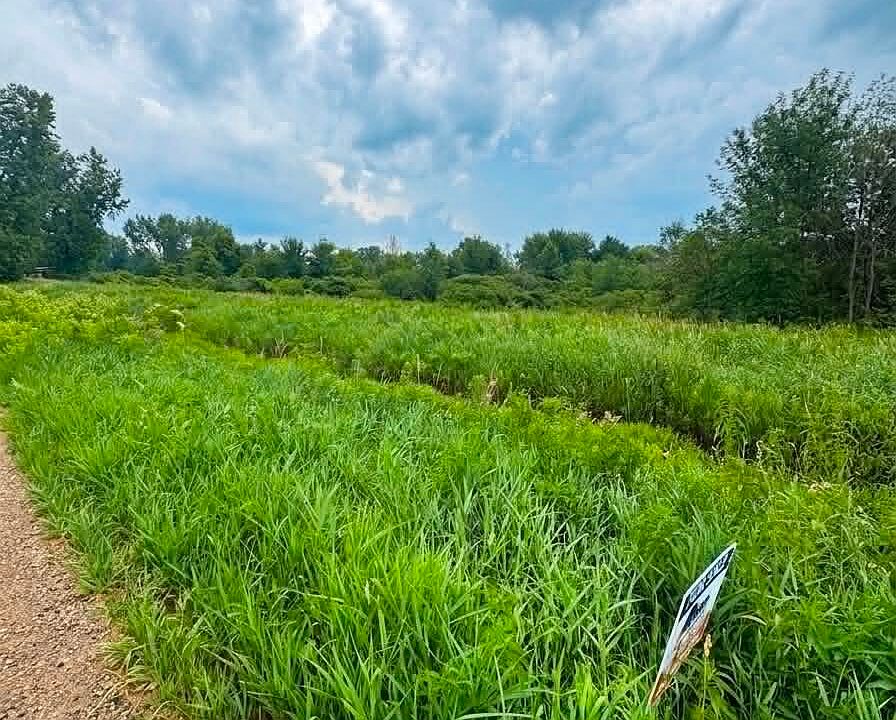 1st image of 60196 County Road 376