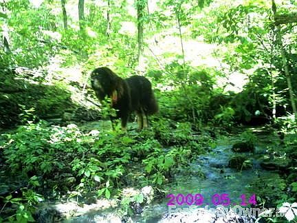 Map
						:
						Map of where property lies