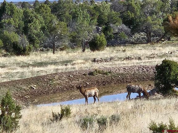 2nd image of 13670 Transfer Road