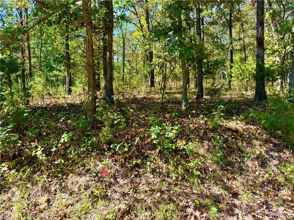 Off Saint Saveur Dr, Edwards, MO 65326